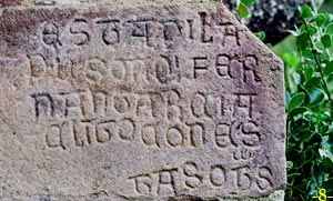 INSCRIPCI&Oacute;N JAMBA DERECHA.