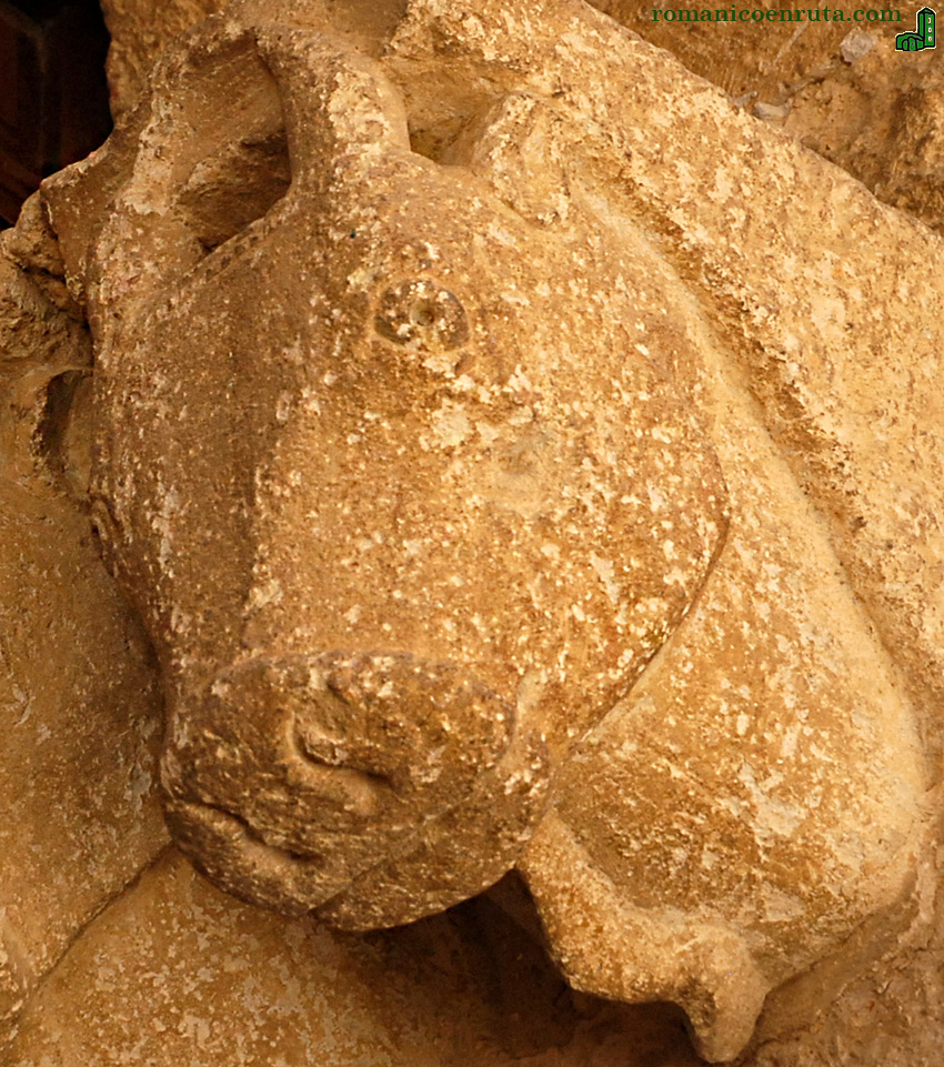 MÉNSULA EXTERIOR. DETALLE.