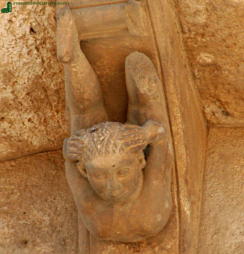 CAN: CONTORSIONISTA.