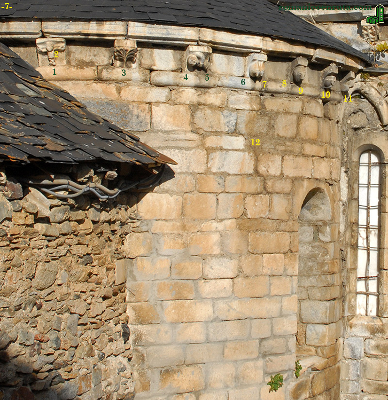 ABSIDIOLA MERIDIONAL.