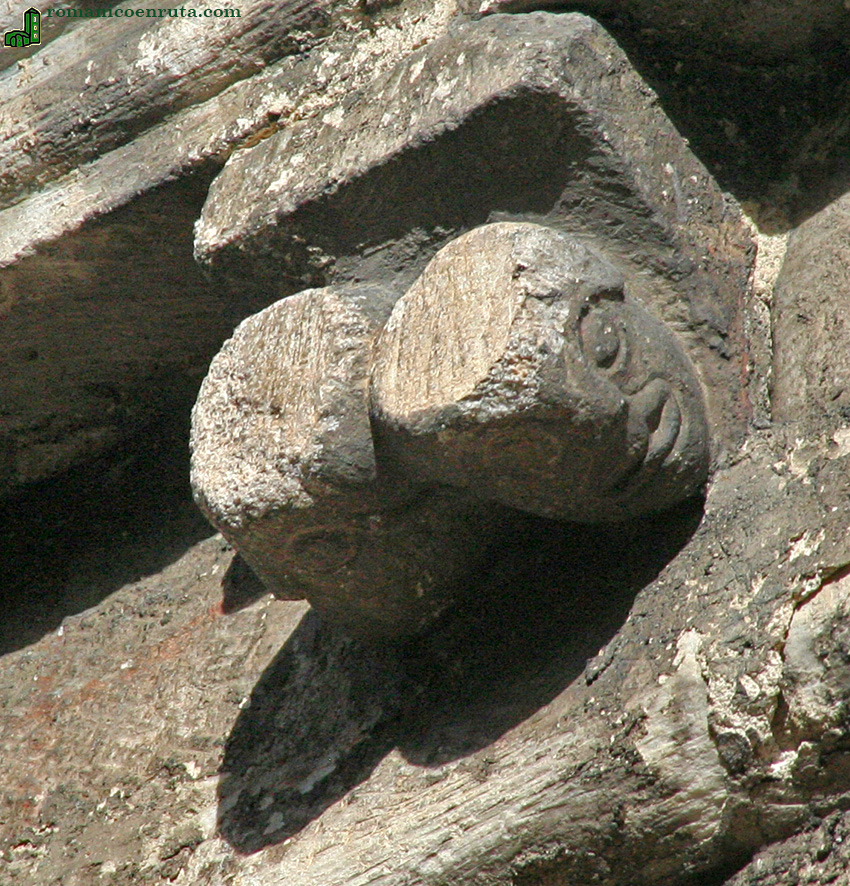 CAN: DOS PEQUE&Ntilde;AS CABEZAS HUMANAS.