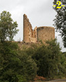 TORRES DESDE EL CAMINO DE ACCESO.