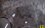 C&Uacute;PULA.